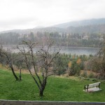 Columbia River outside the centre in Castelgar where the BCNRI education days were held at October 2012